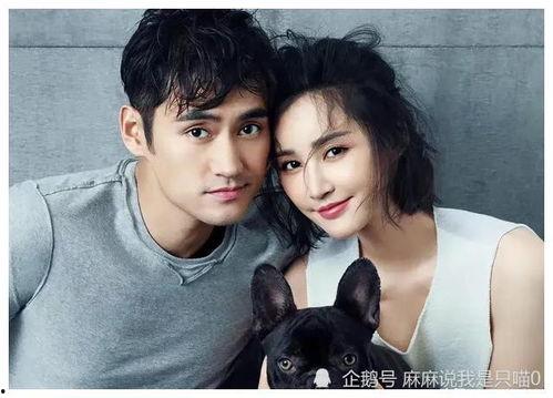 有没有吃瓜群啊娱乐明星,揭秘明星圈里的吃瓜群动态