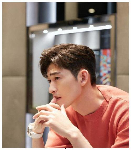 吃瓜娱乐张翰完整版,揭秘明星幕后生活